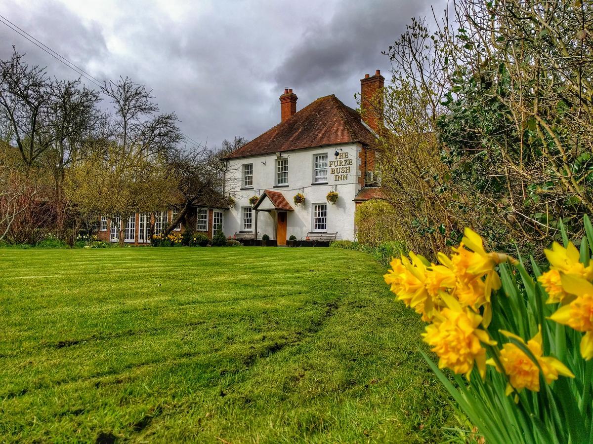 The Furze Bush Inn Newbury (Berkshire) Exterior foto