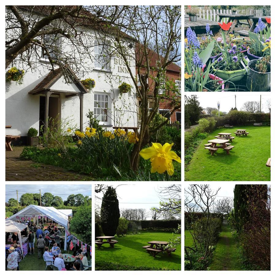 The Furze Bush Inn Newbury (Berkshire) Exterior foto